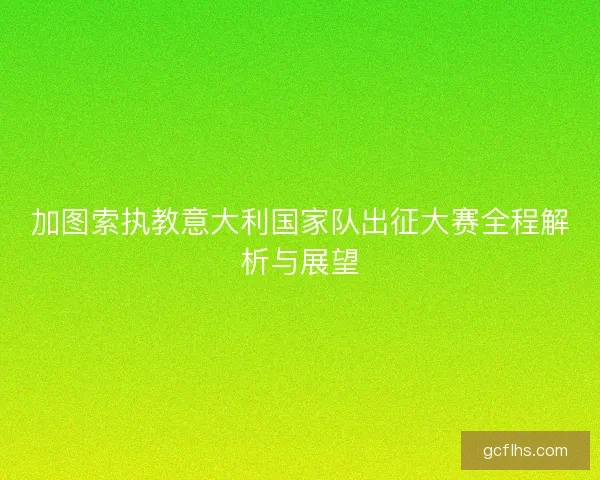加图索执教意大利国家队出征大赛全程解析与展望