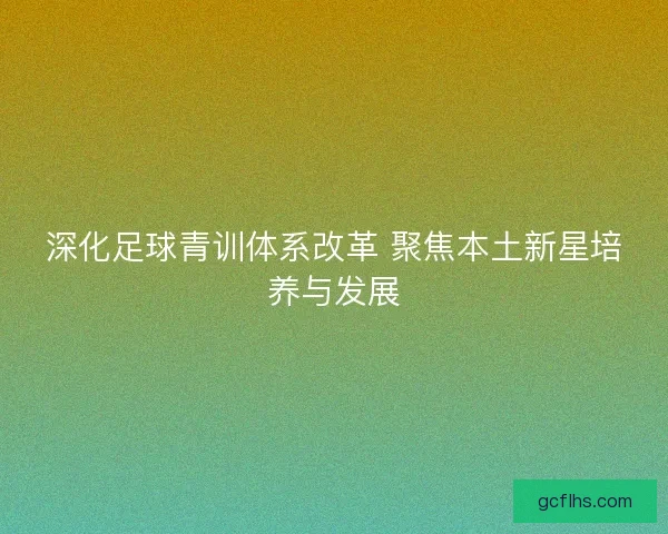 深化足球青训体系改革 聚焦本土新星培养与发展